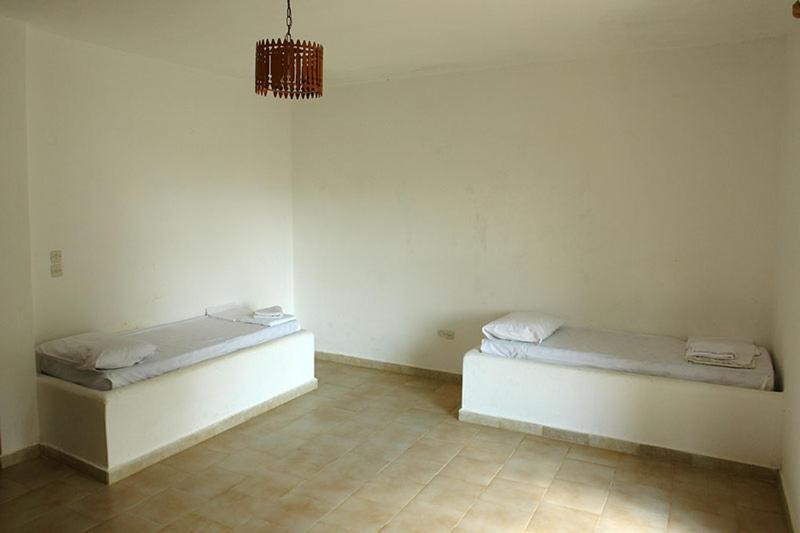 Apartment Chryssa *